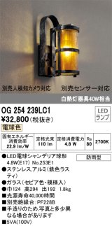 オーデリック OG254239LC1(ランプ別梱) エクステリア ポーチライト LEDランプ 電球色 防雨型 鉄色ラスティ