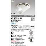 オーデリック　XD402531H　ダウンスポットライト LED一体型 白色 電源装置別売 埋込穴φ125 オフホワイト