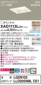 パナソニック　XAD1113LCE1(ランプ別梱)　ダウンライト 天井埋込型 LED(電球色) 美ルック 高気密SB形 拡散マイルド配光 埋込穴□100 ホワイト