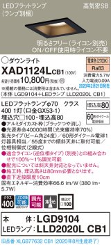 パナソニック　XAD1124LCB1(ランプ別梱)　ダウンライト 天井埋込型 LED(電球色) 高気密SB形 集光24度 調光(ライコン別売) 埋込穴□100 ブラック