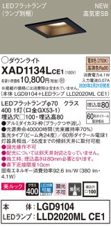 パナソニック　XAD1134LCE1(ランプ別梱)　ダウンライト 天井埋込型 LED(電球色) 美ルック 高気密SB形 集光24度 埋込穴□100 ブラック