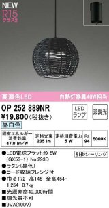 オーデリック　OP252889NR(ランプ別梱)　ペンダントライト 非調光 LEDランプ 昼白色 フレンジタイプ 黒色