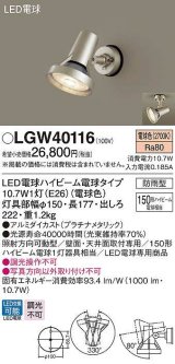 パナソニック　LGW40116　エクステリア スポットライト ランプ同梱 LED(電球色) 天井直付型 壁直付型 電球交換型 防雨型 プラチナメタリック