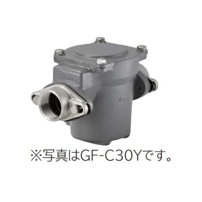 画像1: 日立 ポンプ　GF-C30Y　砂こし器 配管口径30mm 鋳鉄製 ※GF-C30X後継品