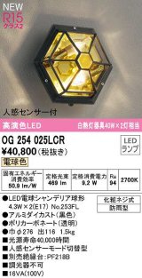 オーデリック　OG254025LCR(ランプ別梱)　エクステリア ポーチライト LEDランプ 電球色 人感センサー付 防雨型 黒色