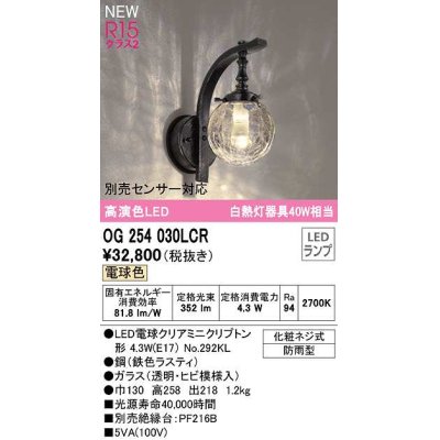 画像1: オーデリック　OG254030LCR(ランプ別梱)　エクステリア ポーチライト LEDランプ 電球色 別売センサー対応 防雨型 鉄色ラスティ