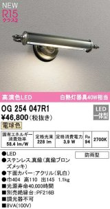 オーデリック　OG254047R1　エクステリア 表札灯 LED一体型 電球色 防雨型 真鍮ブロンズメッキ