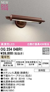 オーデリック　OG254048R1　エクステリア 表札灯 LED一体型 電球色 防雨型 鉄錆色