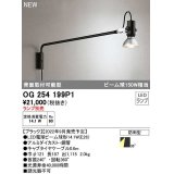 オーデリック　OG254199P1　エクステリア スポットライト ランプ別売 LEDランプ 防雨型 ブラック