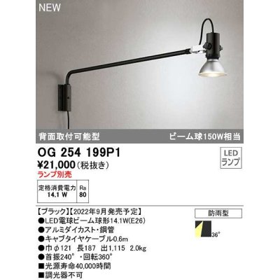 画像1: オーデリック　OG254199P1　エクステリア スポットライト ランプ別売 LEDランプ 防雨型 ブラック