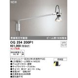 オーデリック　OG254200P1　エクステリア スポットライト ランプ別売 LEDランプ 防雨型 マットシルバー