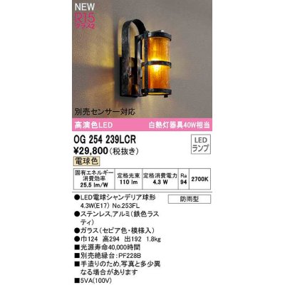 画像1: オーデリック　OG254239LCR(ランプ別梱)　エクステリア ポーチライト LEDランプ 電球色 別売センサー対応 防雨型 鉄色ラスティ