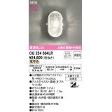 オーデリック　OG254604LR(ランプ別梱)　ブラケットライト 非調光 LEDランプ 電球色 防雨型 オフホワイト