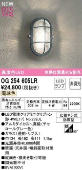 オーデリック　OG254605LR(ランプ別梱)　ブラケットライト 非調光 LEDランプ 電球色 防雨型 チャコールグレー