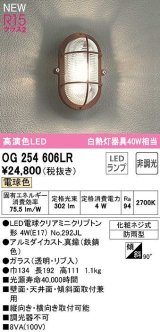 オーデリック　OG254606LR(ランプ別梱)　ブラケットライト 非調光 LEDランプ 電球色 防雨型 鉄錆色