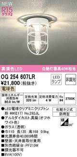 オーデリック　OG254607LR(ランプ別梱)　ブラケットライト 非調光 LEDランプ 電球色 防雨型 オフホワイト