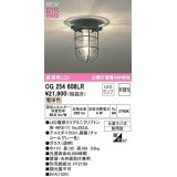 オーデリック　OG254608LR(ランプ別梱)　ブラケットライト 非調光 LEDランプ 電球色 防雨型 チャコールグレー