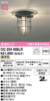 オーデリック　OG254608LR(ランプ別梱)　ブラケットライト 非調光 LEDランプ 電球色 防雨型 チャコールグレー