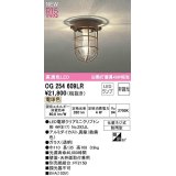 オーデリック　OG254609LR(ランプ別梱)　ブラケットライト 非調光 LEDランプ 電球色 防雨型 鉄錆色