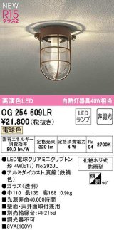 オーデリック　OG254609LR(ランプ別梱)　ブラケットライト 非調光 LEDランプ 電球色 防雨型 鉄錆色