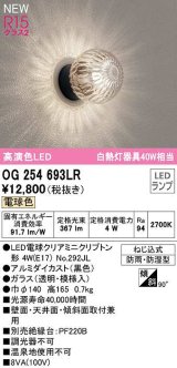 オーデリック　OG254693LR(ランプ別梱)　エクステリア ポーチライト LEDランプ 電球色 防雨・防湿型