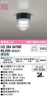 オーデリック　OG264047NR(ランプ別梱)　エクステリア ポーチライト 非調光 LEDランプ 昼白色 防雨・防湿型 黒色