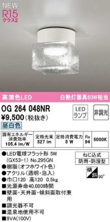 オーデリック　OG264048NR(ランプ別梱)　エクステリア ポーチライト 非調光 LEDランプ 昼白色 防雨・防湿型 オフホワイト