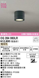 オーデリック　OG264063LR(ランプ別梱)　エクステリア ポーチライト LEDランプ 電球色 防雨型 黒色