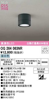 オーデリック　OG264063NR(ランプ別梱)　エクステリア ポーチライト LEDランプ 昼白色 防雨型 黒色