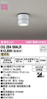 オーデリック　OG264064LR(ランプ別梱)　エクステリア ポーチライト LEDランプ 電球色 防雨型 マットシルバー