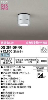 オーデリック　OG264064NR(ランプ別梱)　エクステリア ポーチライト LEDランプ 昼白色 防雨型 マットシルバー