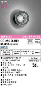 オーデリック　OG264065NR(ランプ別梱)　エクステリア ポーチライト 非調光 LEDランプ 昼白色 防雨・防湿型 黒色