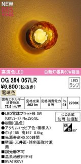 オーデリック　OG264067LR(ランプ別梱)　エクステリア ポーチライト 非調光 LEDランプ 電球色 防雨・防湿型 黒色