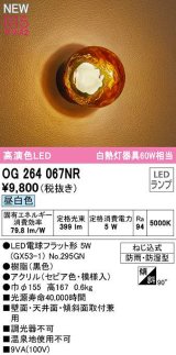 オーデリック　OG264067NR(ランプ別梱)　エクステリア ポーチライト 非調光 LEDランプ 昼白色 防雨・防湿型 黒色