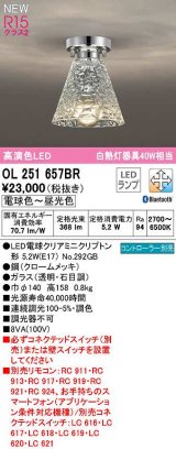 オーデリック　OL251657BR(ランプ別梱)　シーリングライト 調光 調色 Bluetooth コントローラー別売 LEDランプ 電球色〜昼光色