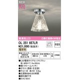 オーデリック　OL251657LR(ランプ別梱)　シーリングライト 非調光 LEDランプ 電球色