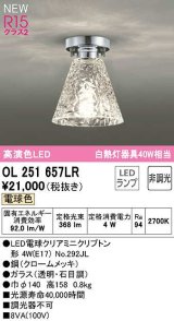 オーデリック　OL251657LR(ランプ別梱)　シーリングライト 非調光 LEDランプ 電球色