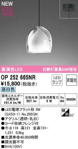 オーデリック　OP252665NR(ランプ別梱)　ペンダントライト 非調光 LEDランプ 昼白色 フレンジタイプ