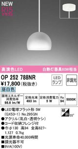 オーデリック　OP252788NR(ランプ別梱)　ペンダントライト 非調光 LEDランプ 昼白色 フレンジタイプ