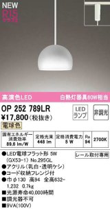 オーデリック　OP252789LR(ランプ別梱)　ペンダントライト 非調光 LEDランプ 電球色 プラグタイプ