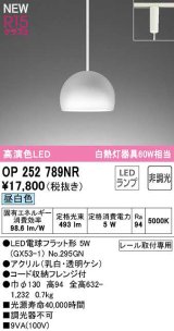 オーデリック　OP252789NR(ランプ別梱)　ペンダントライト 非調光 LEDランプ 昼白色 プラグタイプ