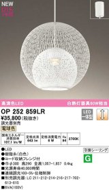 オーデリック　OP252859LR　ペンダントライト 調光 調光器別売 LED一体型 電球色 フレンジタイプ 白色