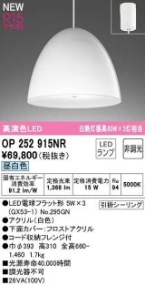 オーデリック　OP252915NR(ランプ別梱)　ペンダントライト 非調光 LEDランプ 昼白色 フレンジタイプ 白色