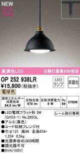 オーデリック　OP252938LR(ランプ別梱)　ペンダントライト 非調光 LEDランプ 電球色 プラグタイプ 黒色