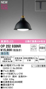 オーデリック　OP252938NR(ランプ別梱)　ペンダントライト 非調光 LEDランプ 昼白色 プラグタイプ 黒色