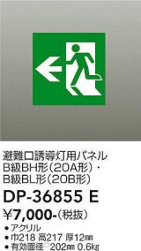 大光電機(DAIKO) DP-36855E 防災照明 誘導灯 避難口誘導灯用パネル 本体別売