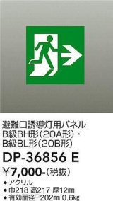 大光電機(DAIKO) DP-36856E 防災照明 誘導灯 避難口誘導灯用パネル 本体別売