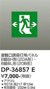 大光電機(DAIKO) DP-36857E 防災照明 誘導灯 避難口誘導灯用パネル 本体別売