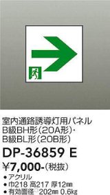 大光電機(DAIKO) DP-36859E 防災照明 誘導灯 室内通路誘導灯用パネル 本体別売