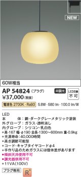 コイズミ照明 AP54824 ペンダント 非調光 LED一体型 電球色 プラグタイプ ダークグレーメタリック